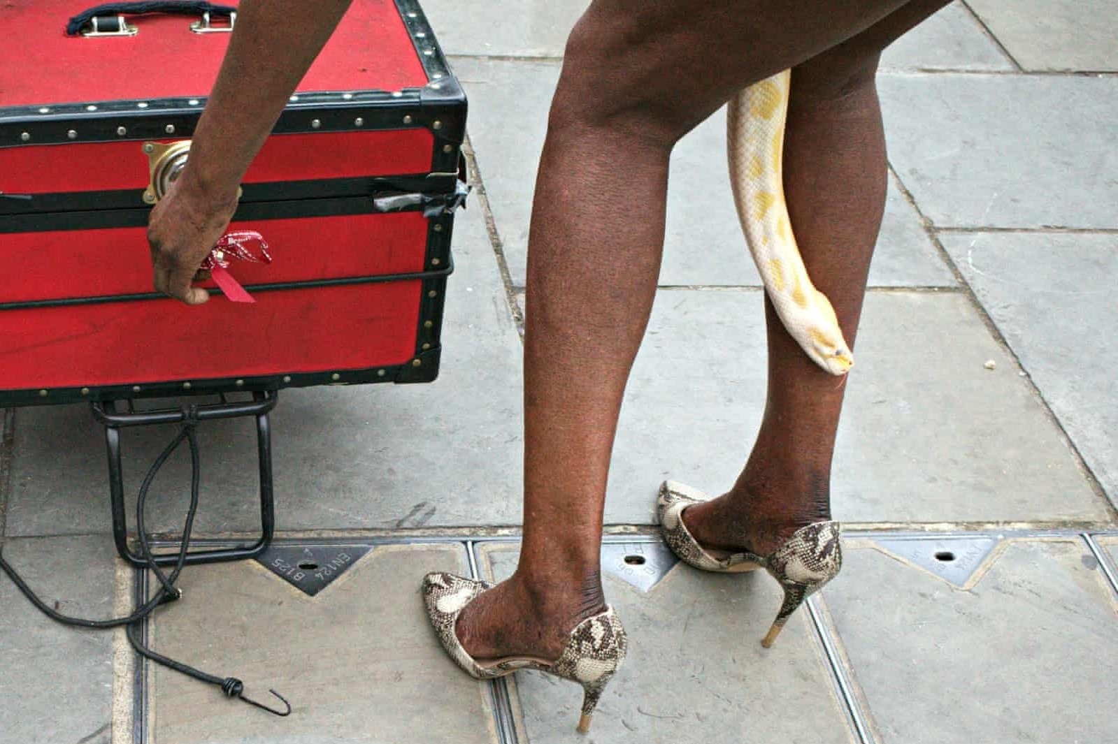 Buc anh 'ran doi dau' sieu thuc vo tinh duoc chup lai tren duong pho hinh anh