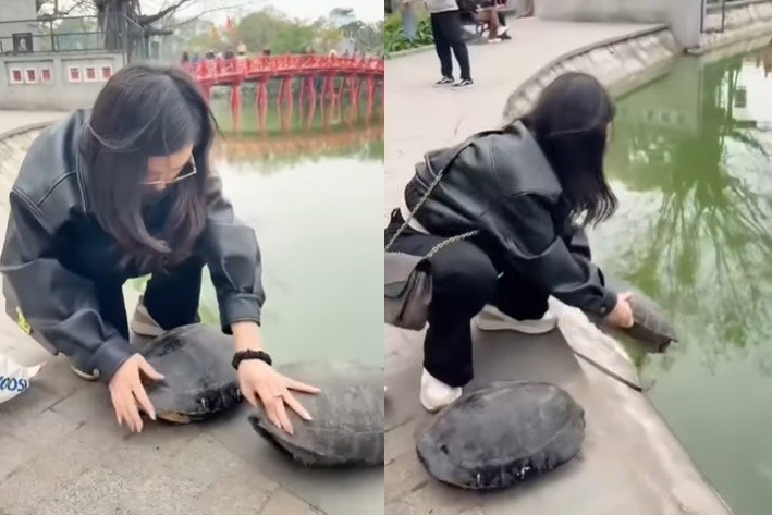 'Nha rua hoc' Ha Dinh Duc len tieng vu phong sinh 2 con rua o Ho Guom hinh anh