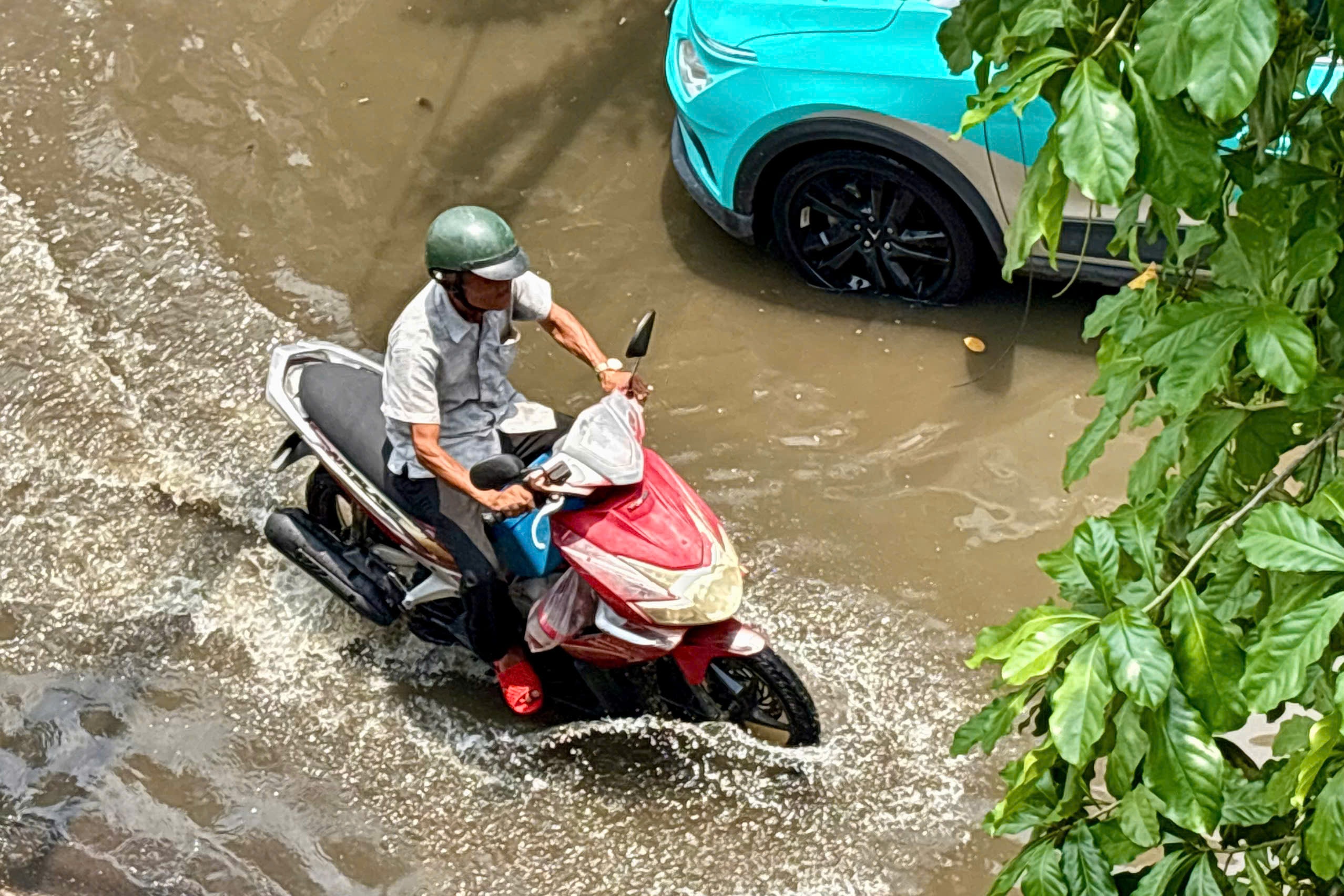 Nguoi dan TP.HCM 'tro tay khong kip' khi trieu cuong dang cao mua kho hinh anh