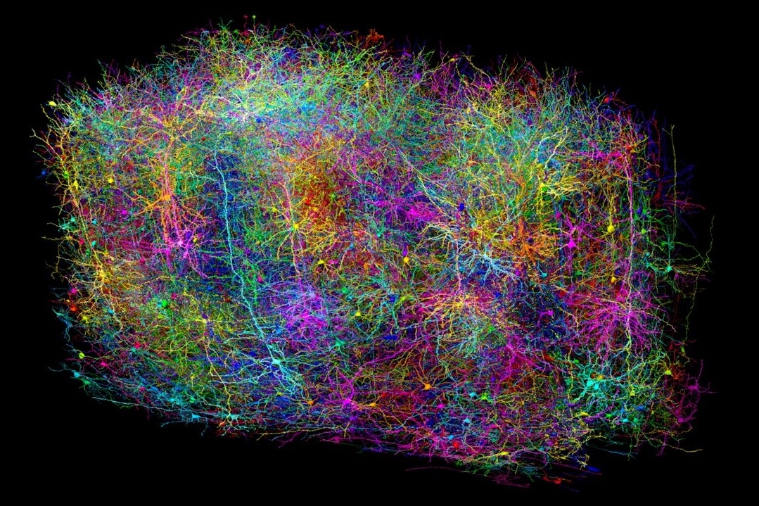 Nao chuot bien doi the nao sau khi xem hang loat clip YouTube? hinh anh