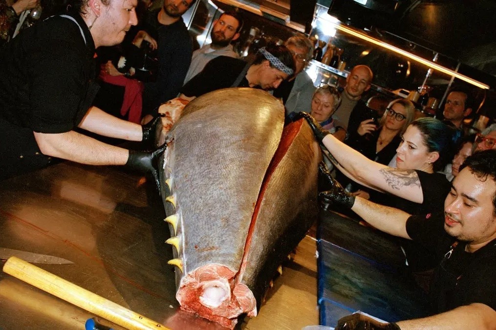 Bua an kinh di cua gioi nha giau: Xe thit ca ngu to nhu chiec xe may hinh anh