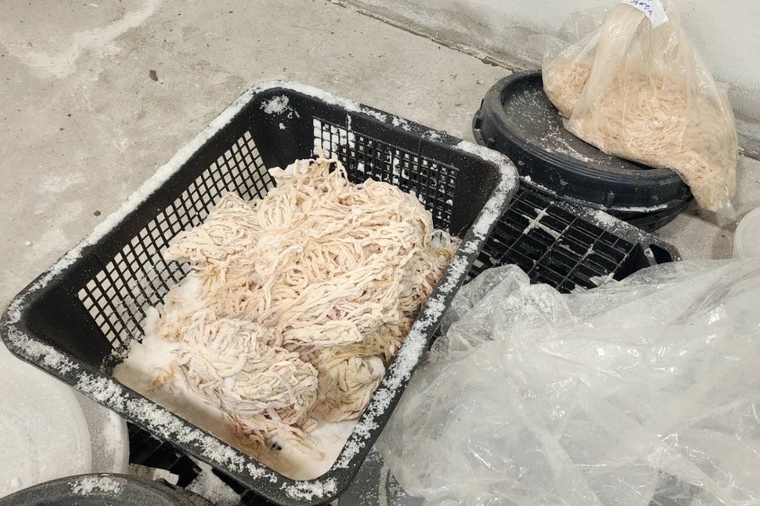 Ben trong kho ban chua 41 tan long heo boc mui o Thai Lan hinh anh