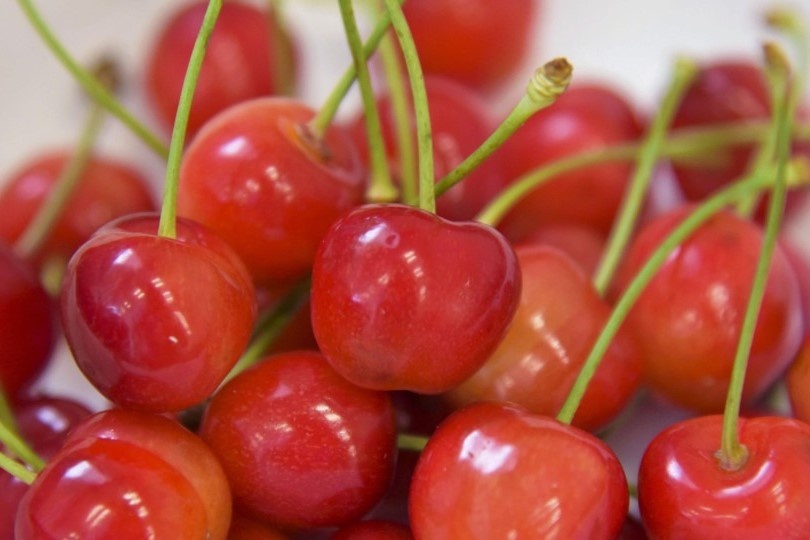 200 kg cherry hao hang bi hai trom o Nhat Ban hinh anh