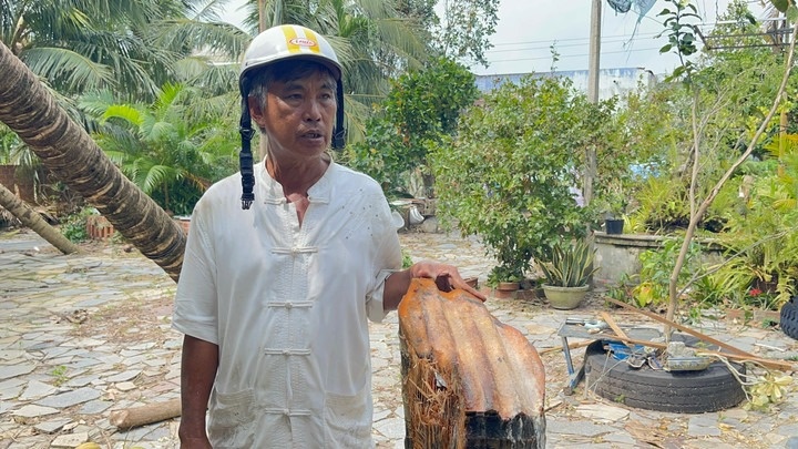 ton chem cay dua anh 1