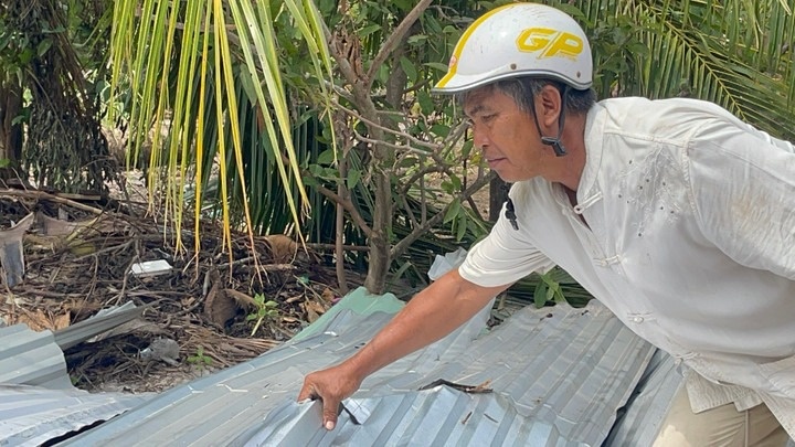 ton chem cay dua anh 2