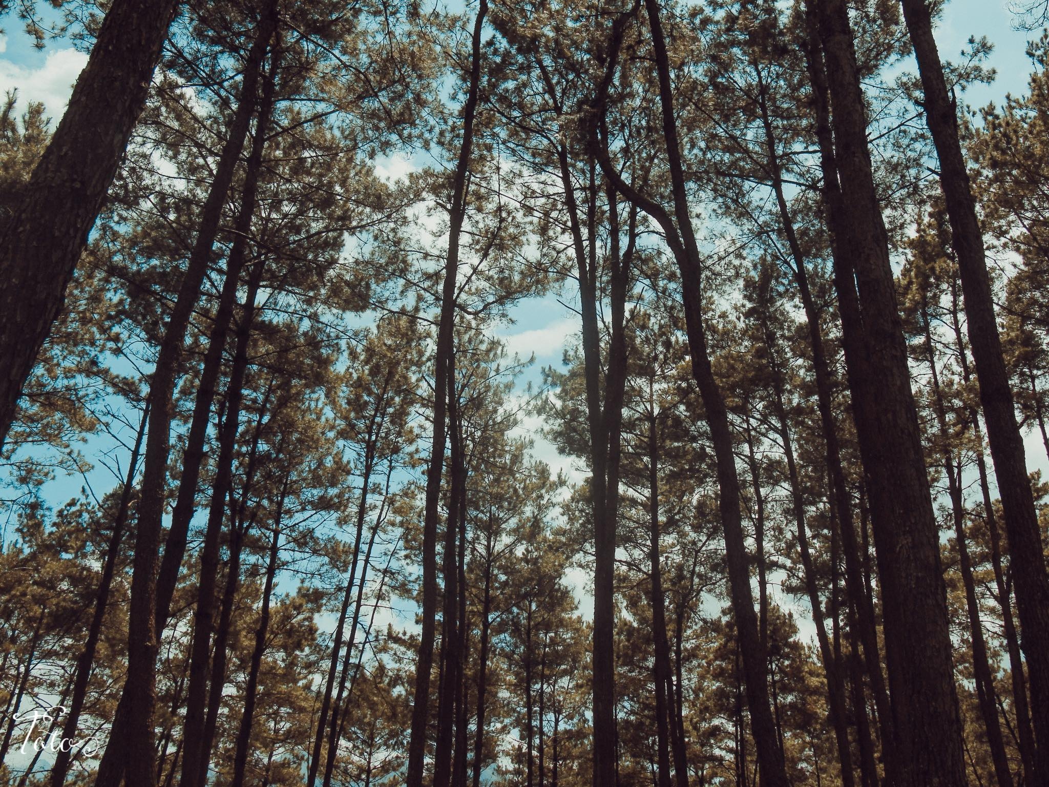 du lich ha giang anh 12