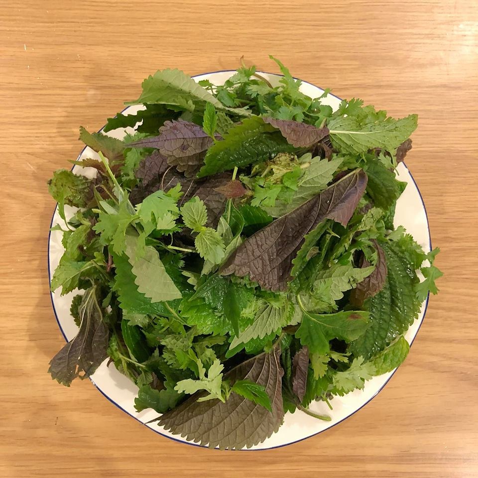 salim lam bun mam nen anh 8