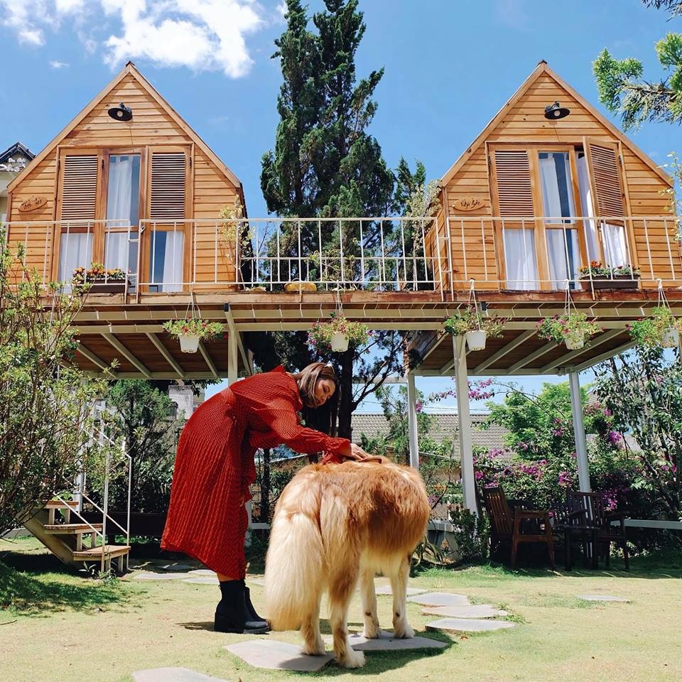 homestay da lat anh 15