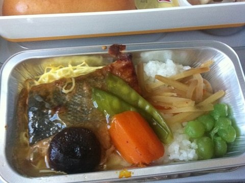 bữa ăn kinh khủng trên máy bay ảnh 11 bua an kinh khung tren may bay anh 11