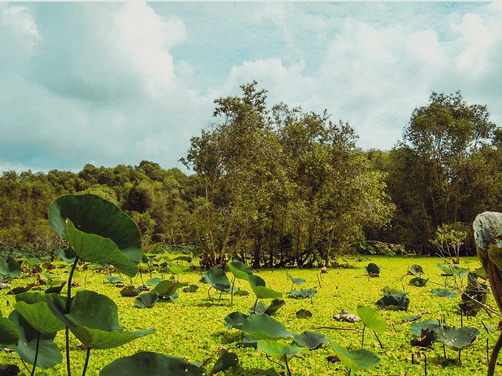 du lich can tho an giang anh 18