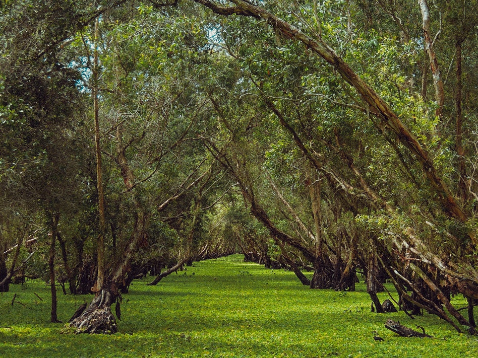 du lich can tho an giang anh 19