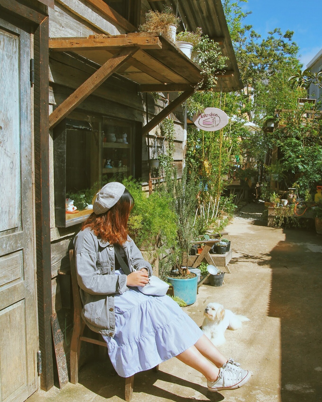 diem du lich da lat anh 14