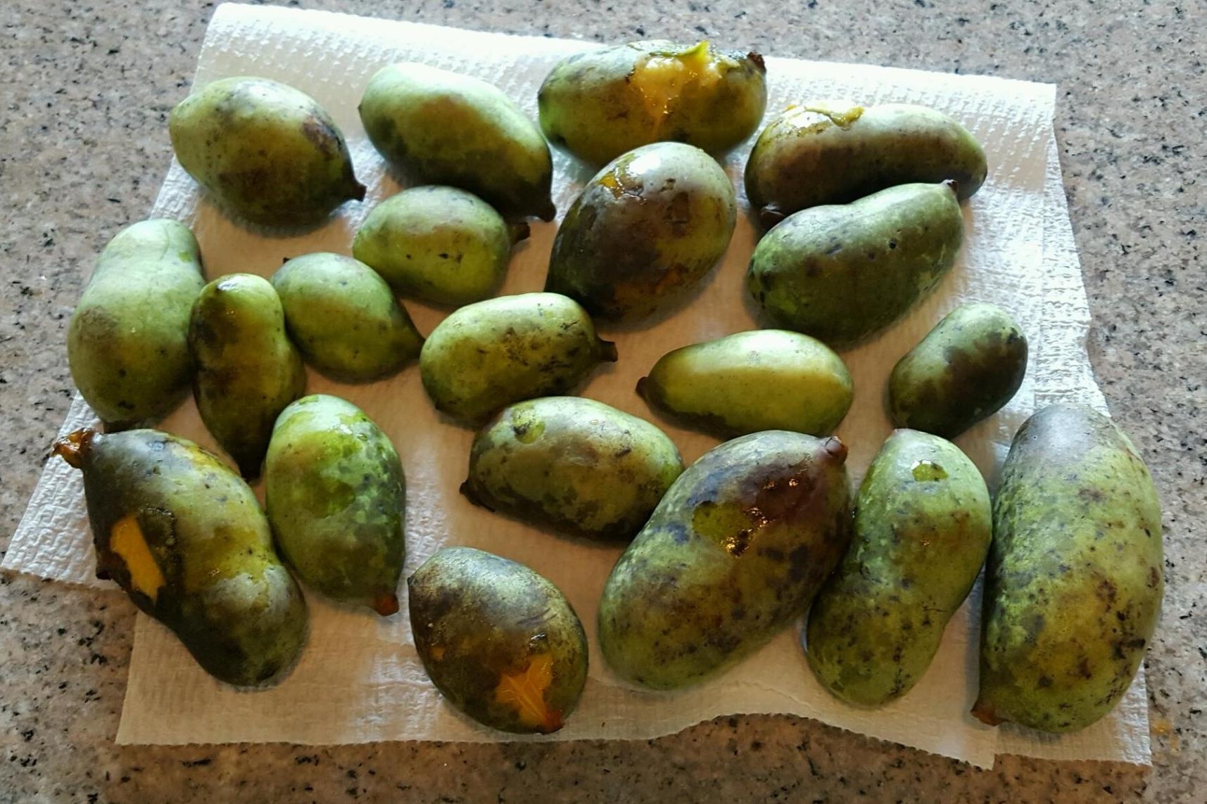 qua co vi xoai chuoi mang cau anh 3