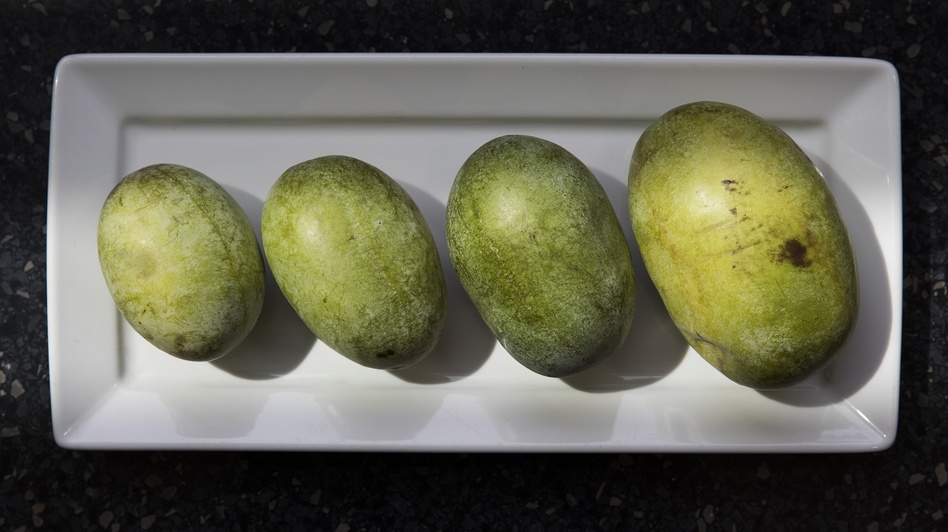 qua co vi xoai chuoi mang cau anh 2