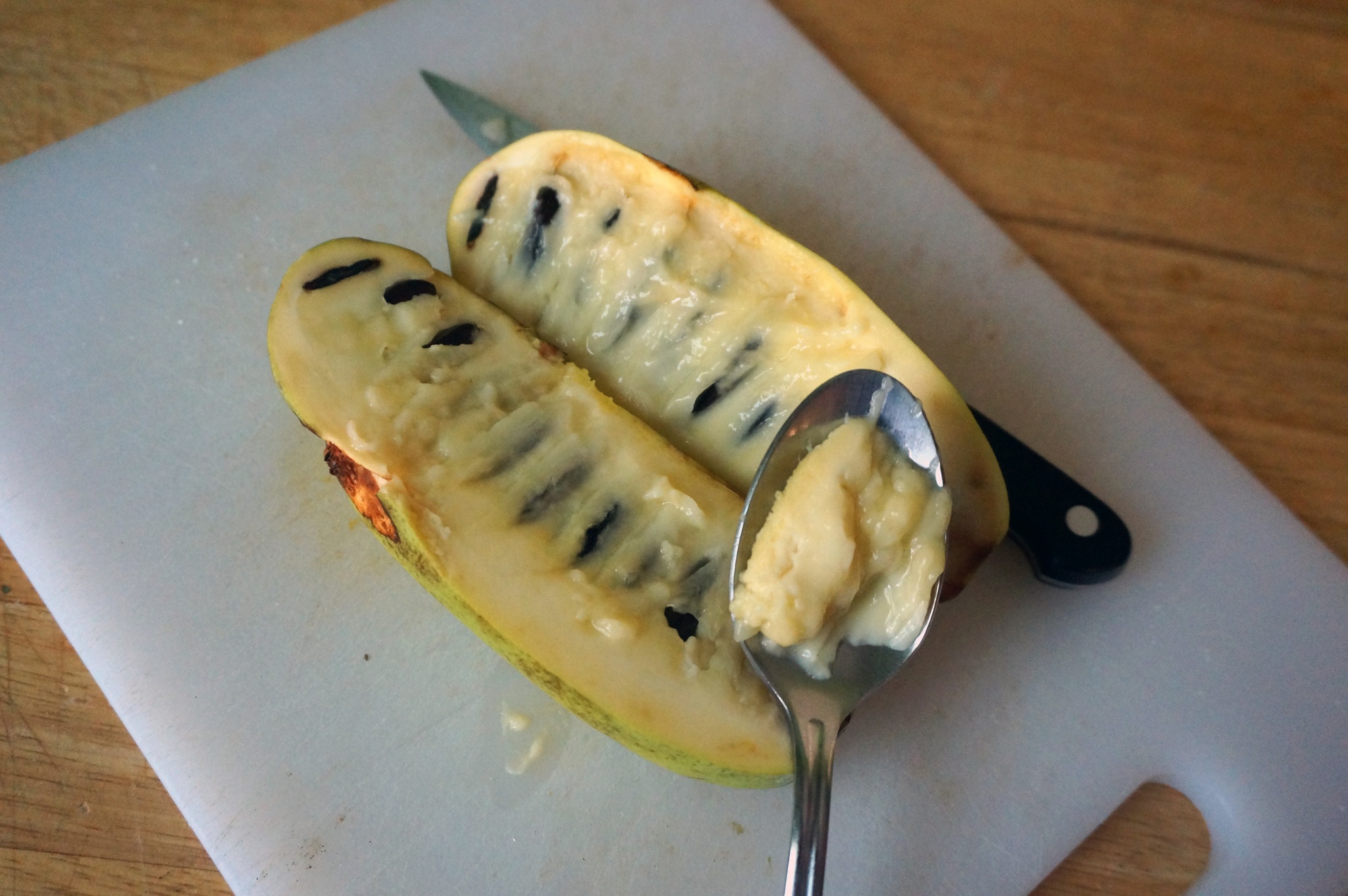 qua co vi xoai chuoi mang cau anh 7