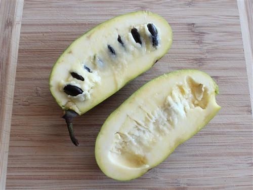 qua co vi xoai chuoi mang cau anh 5