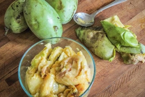 Thuong thuc du ba vi xoai, chuoi, mang cau trong mot loai qua Bac My hinh anh