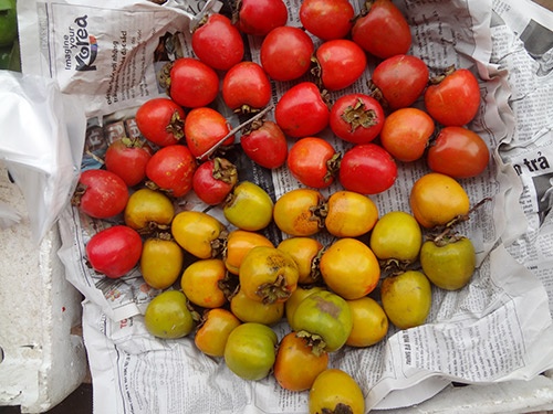 mon an mua thu anh 10