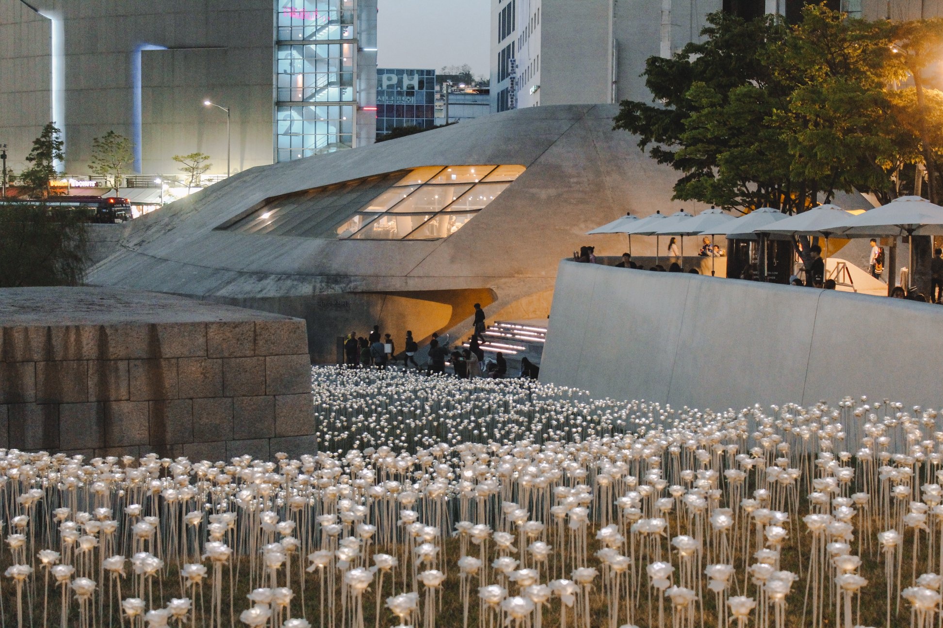 kinh nghiem du lich han quoc anh 4