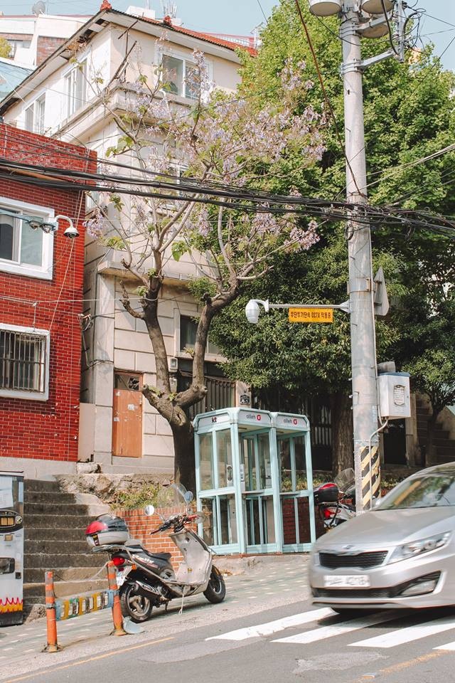 kinh nghiem du lich han quoc anh 11