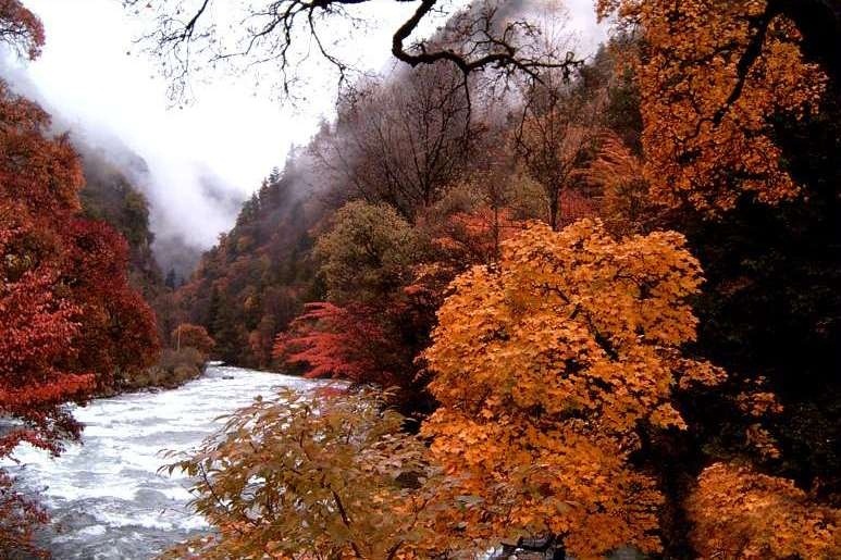 check-in la phong anh 12