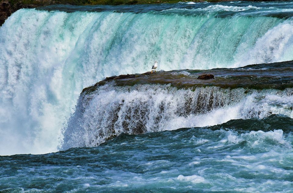 tran dang dang khoa di thac niagara anh 5
