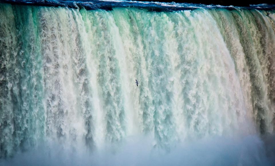 tran dang dang khoa di thac niagara anh 8