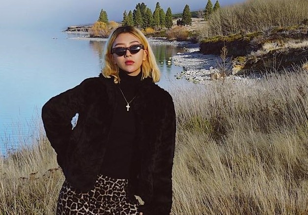 New Zealand dep nhu mo trong clip du lich cua Quynh Anh Shyn hinh anh