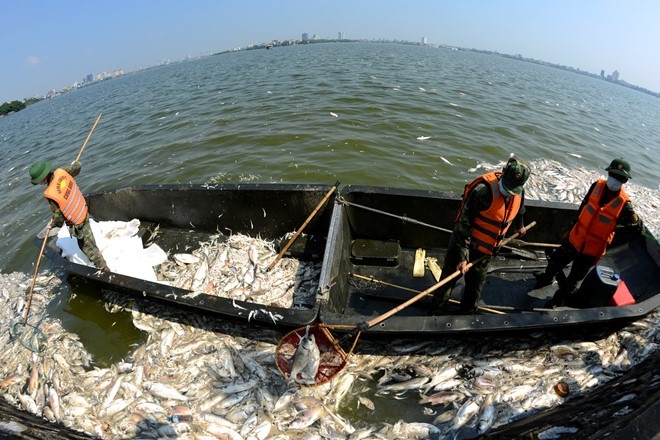 Hien ke bao ve moi truong de nhan giai thuong lon hinh anh