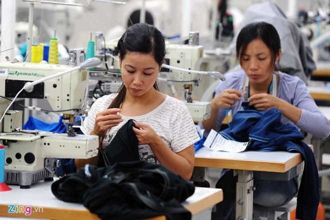 Tap doan Det may thu ve 40.500 ty dong nam 2016 hinh anh