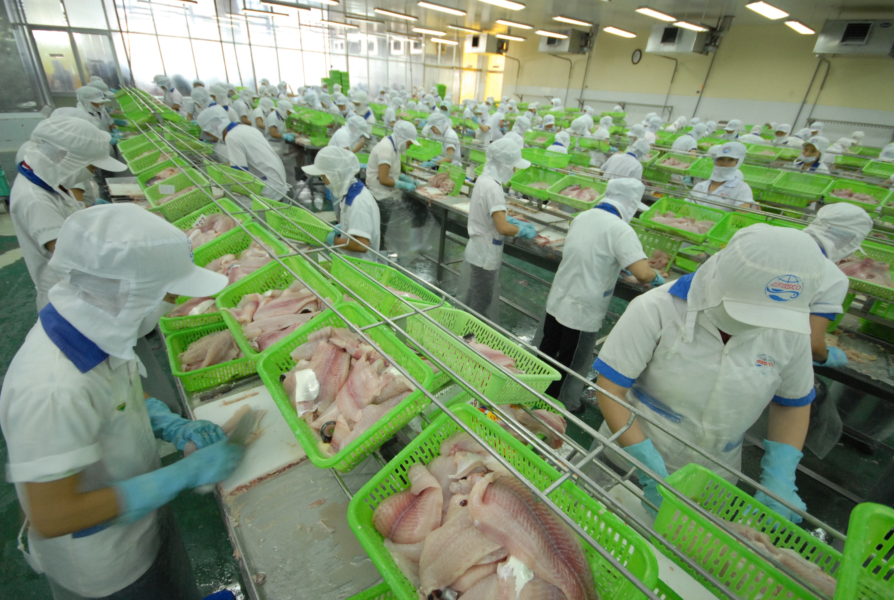 Moi nam se cat giam khoang 2% bien che hinh anh