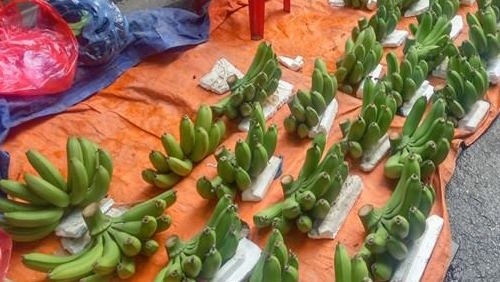 Giap Tet, chuoi xanh tang gia tu 20.000 len 200.000 dong hinh anh