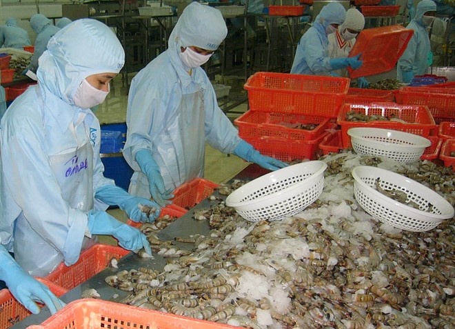 Con tom Viet Nam nhan tin vui tu chinh phu Australia hinh anh