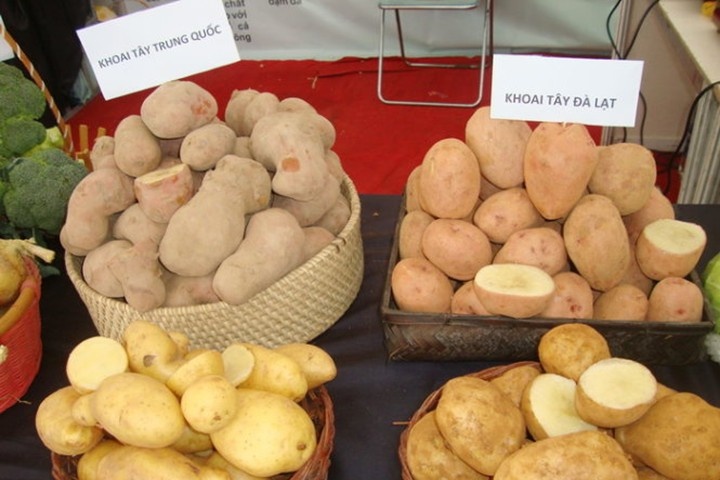 Phat hien diem bien nong san Trung Quoc thanh rau Da Lat hinh anh