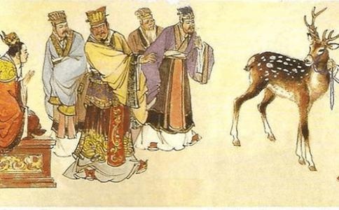 Bo luat Hong Duc muon tich 'chi huou noi ngua' noi ve toi gian doi hinh anh