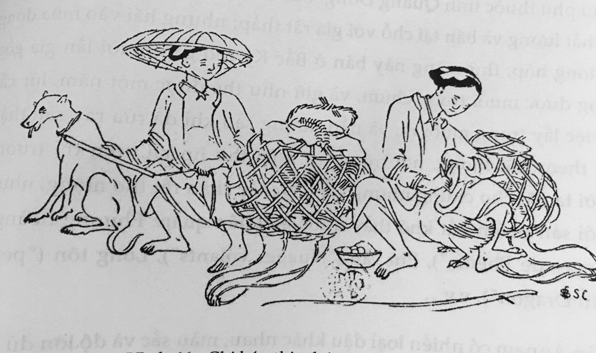 Loi song cua nguoi mien Bac qua goc nhin nha nghien cuu Phap hinh anh