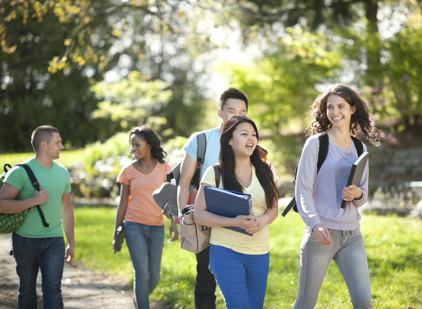 New Zealand ảnh 8 New Zealand anh 8