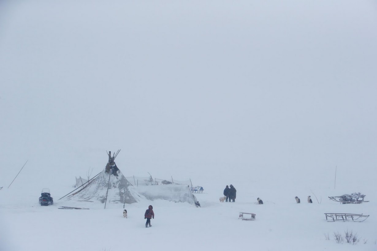 Bau cu tong thong Nga 2018 anh 4