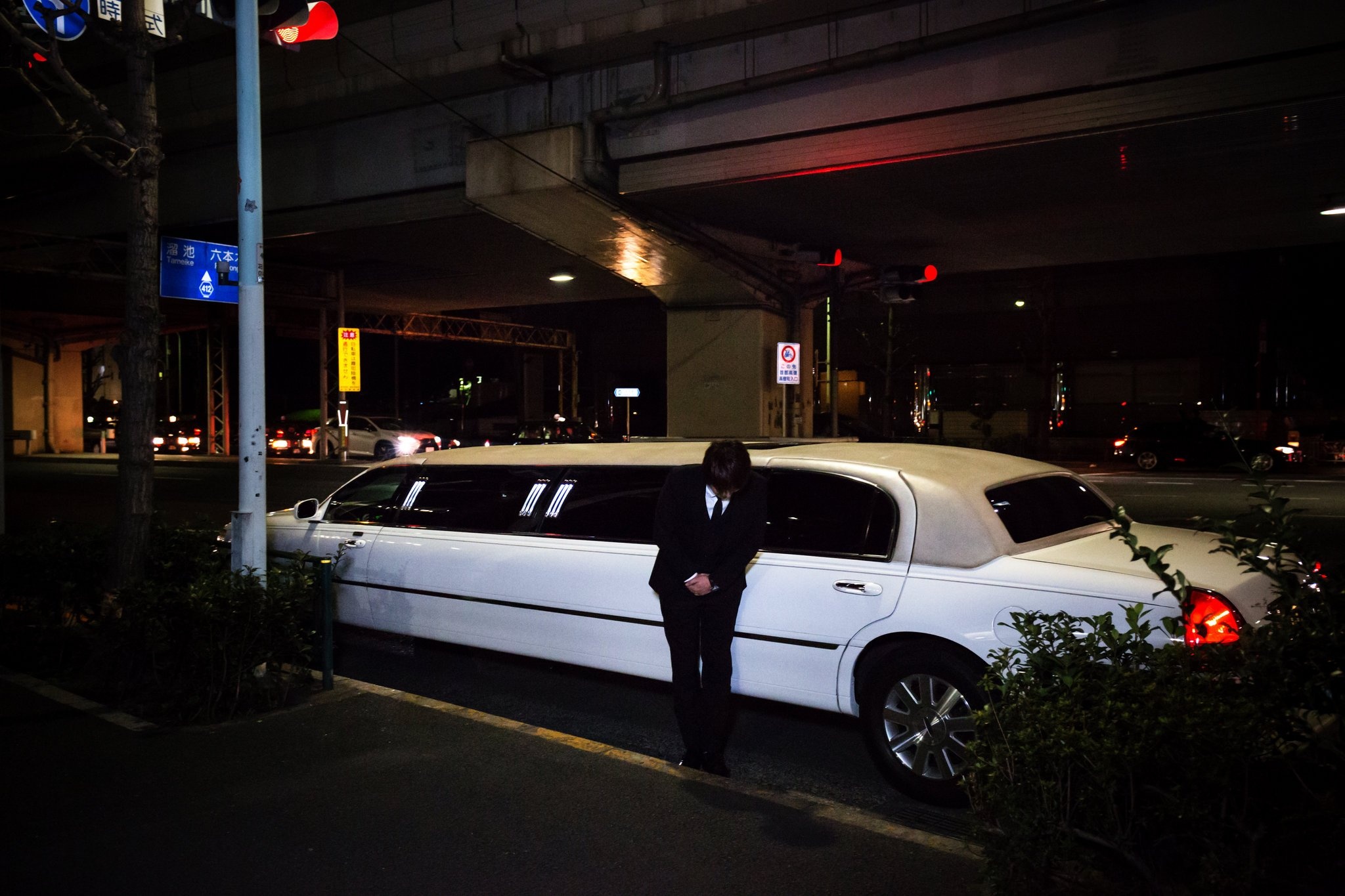 thoi ky hoang kim Nhat anh 8