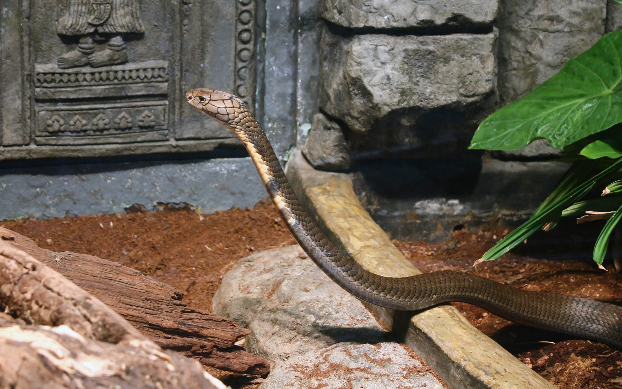 lang Thai Lan ton tho ran anh 7