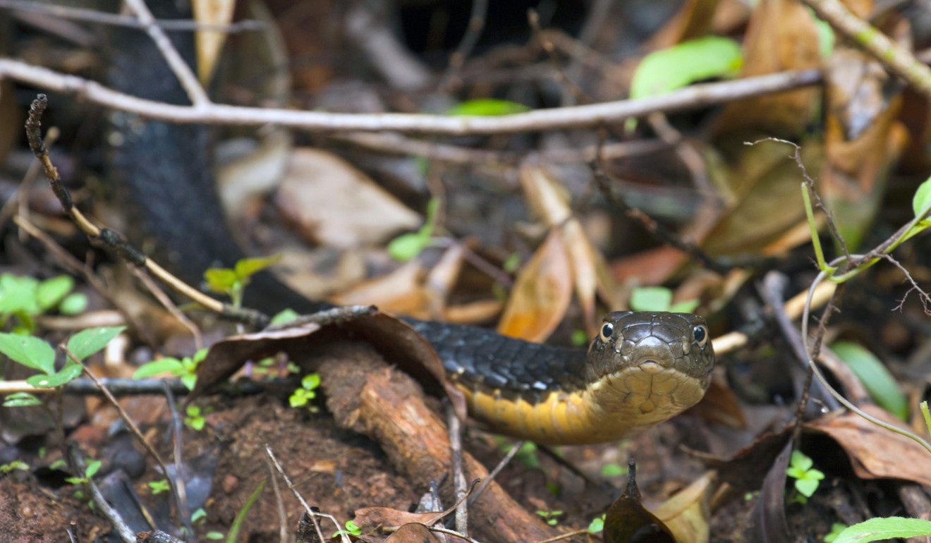 lang Thai Lan ton tho ran anh 6