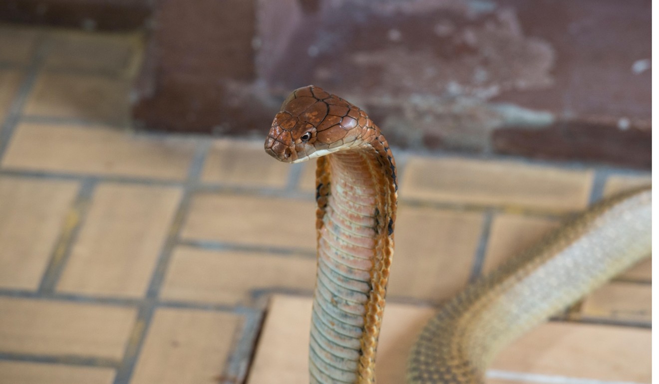 lang Thai Lan ton tho ran anh 5