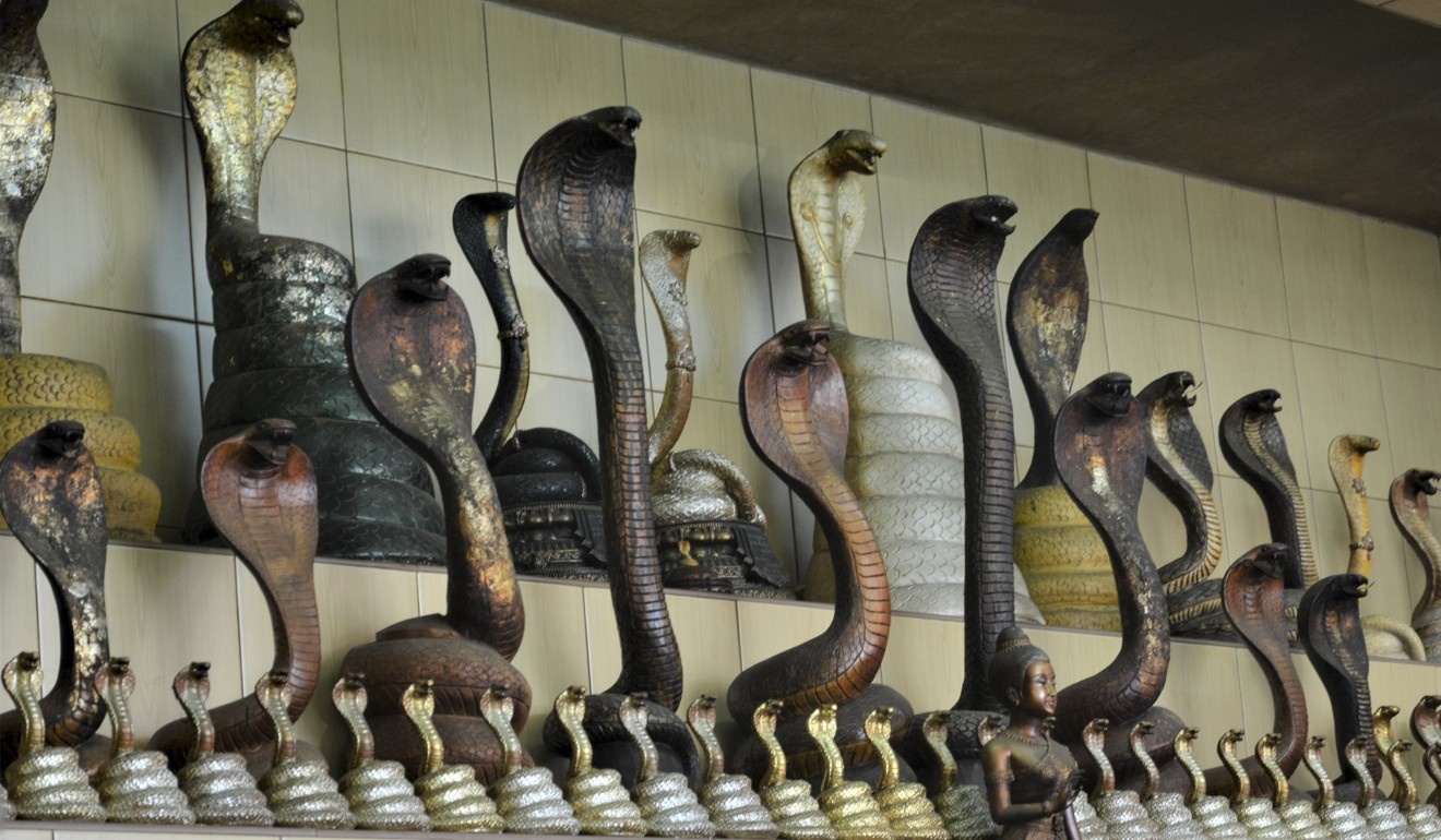 Ran ho mang Thai Lan: Vua duoc ton tho, vua la dac san hinh anh