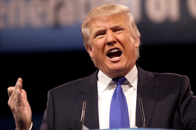 Tan cong Syria: Trump nguy co leo thang cuoc chien hinh anh