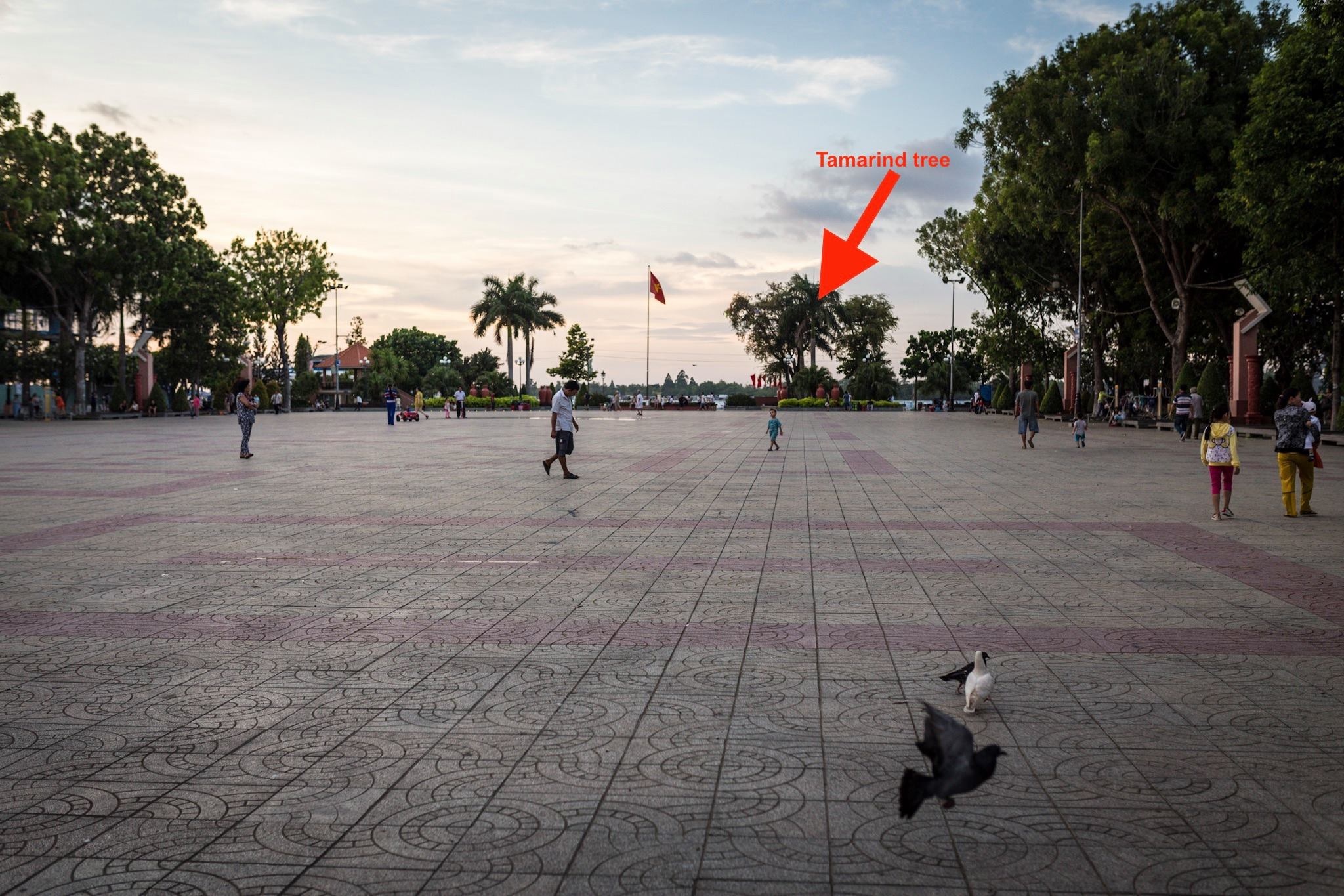 Hoa si Ha Lan tim cha me Viet anh 6