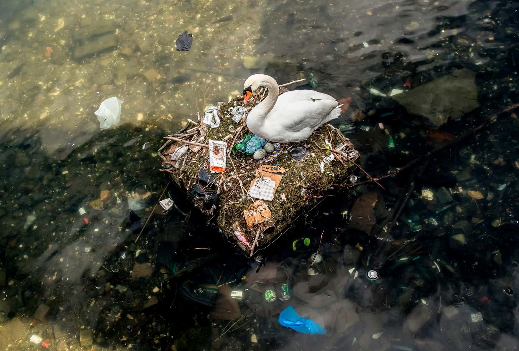 anh noi bat he gioi trong tuan anh 7