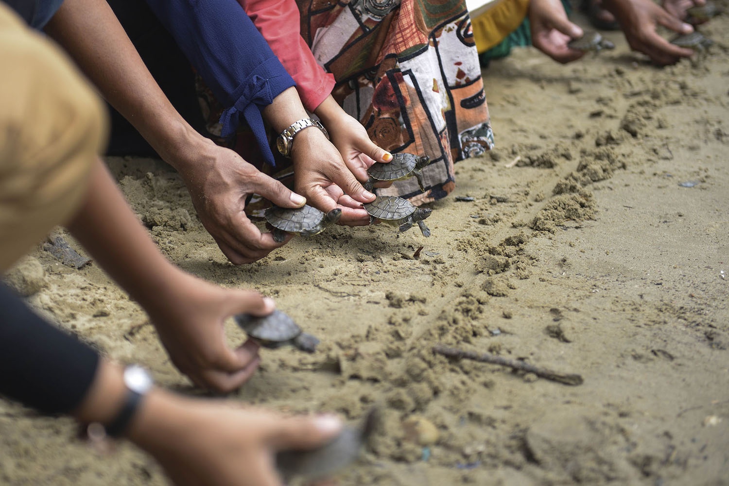 anh noi bat he gioi trong tuan anh 10