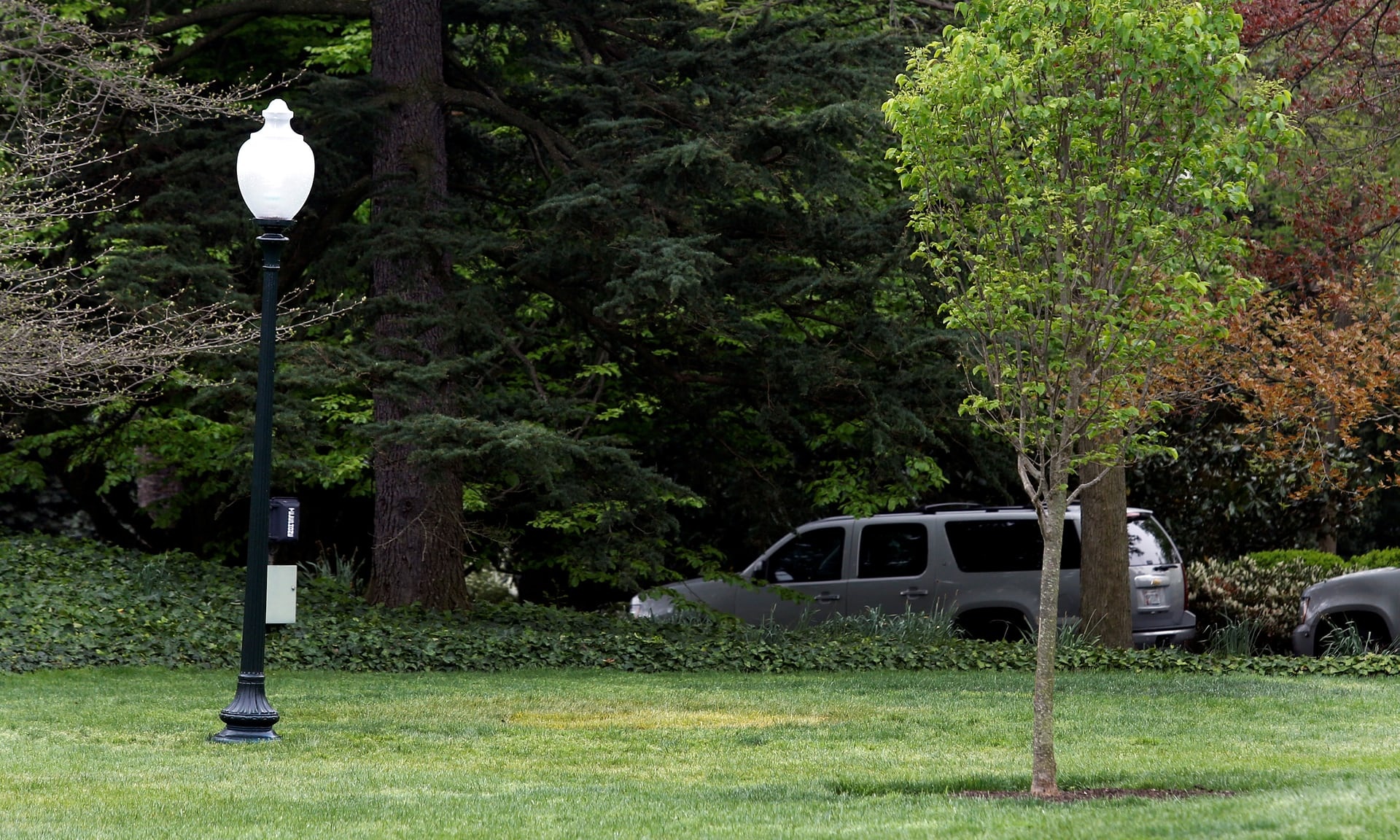 Cây ông Trump trồng với ông Macron biến mất ảnh 1 Cay ong Trump trong voi ong Macron bien mat anh 1