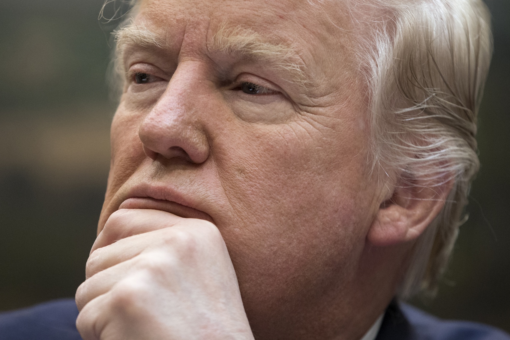 thiên nga đen Bắc Triều Tiên ảnh 11 thien nga den Bac Trieu Tien anh 11