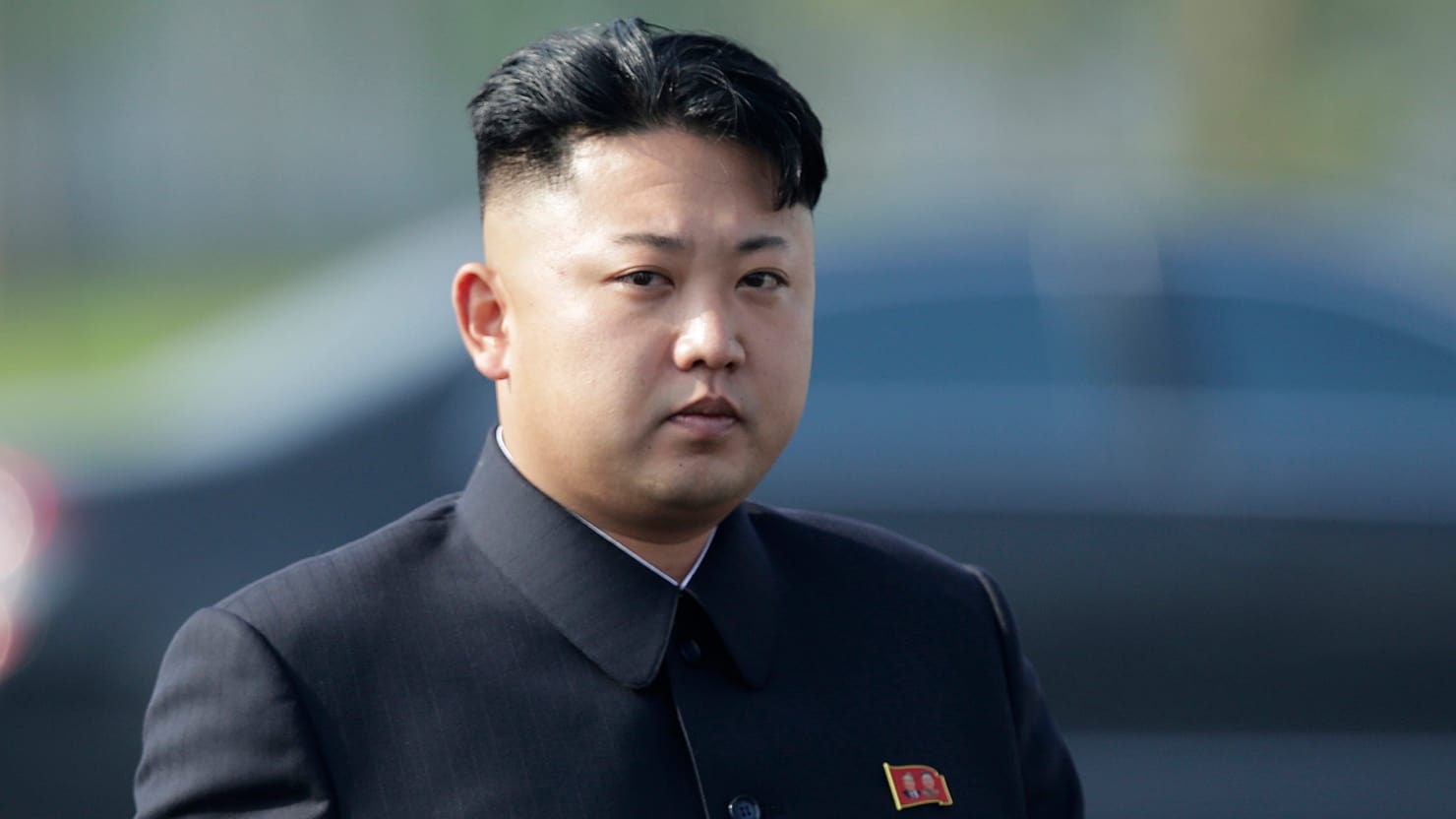 thiên nga đen Bắc Triều Tiên ảnh 12 thien nga den Bac Trieu Tien anh 12